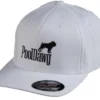 PoolDawg Logo White Baseball Hat 2 PoolDawg Logo White Baseball Hat -Billiard Equipment Store dawgcapwht 01 2